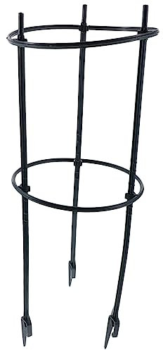 KONTONTY 1set Supporti per Piante Rampicanti Supporto Stabile per Vasi da Giardino per Viti e Fioriture