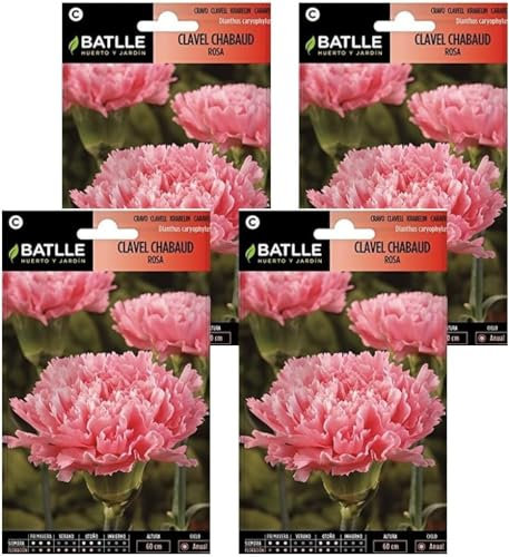 Semillas de clavel chabaud rosa Semillas Batlle PACK (4)
