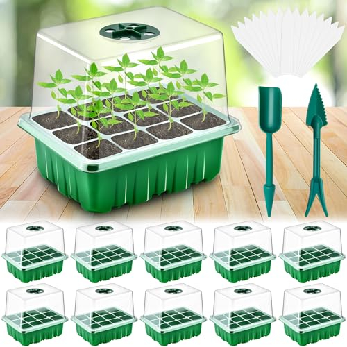 DazSpirit 10 Stück Zimmergewächshaus Anzuchtkasten, 120 Zellen Mini Gewächshaus Anzucht Set, Zimmergewächshaus mit erhöhtem Deckel, Setzling Starter Anzuchtschalen für Gewächshaus & Gartenarbeit