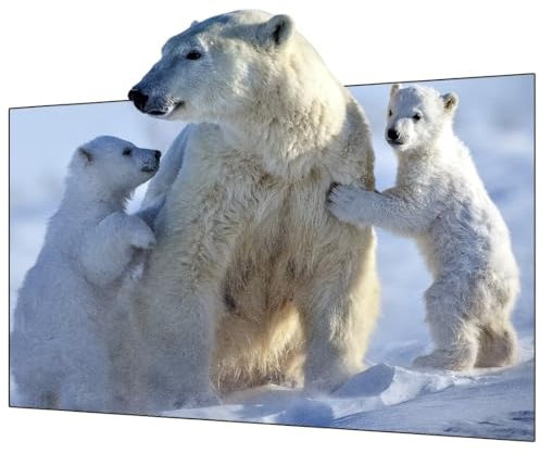 2023 Wupro2023 New Black Crystal Picture Frame ALR Home Cinema 16:9 120 inch Screen