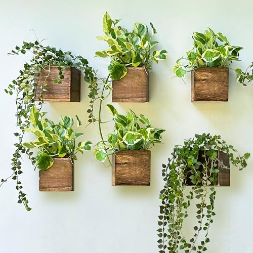 LaLaGreen Wood Planter Boxes for Indoor Plants (4x4 Inch, 6 Pack) Small Square Wall Mounted Planters Flower Pot, Herb Wooden Box Hanging Plant Holder Outdoor Balcony Vertical Garden Modern Home Decor