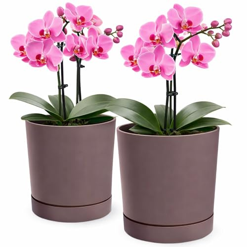 PECZEKO Vaso da fiori opaco, fioriera da vaso decorativo in plastica per piante grandi e piccole, set da 2 vasi per fiori, vaso per erbe aromatiche (2 confezioni) Marsala, ø 30 cm