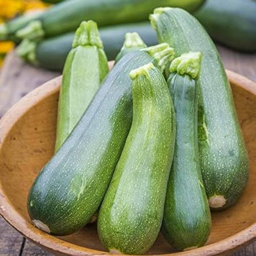 Semillas Calabacín Italiano | DECOALIVE | Semillas para Huerto | Fáciles de Cultivar