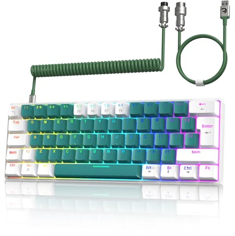 ZIYOU LANG T60 Gaming Tangentbord Trådbundet med USB C Spiral Kabel, Kompakt 60% UK Layout(QWERTY), 19 Rainbow RGB LED Light Up Mekaniskt Tangentbord Clicky Blue Switch Mini 62 Keys för PC-Green