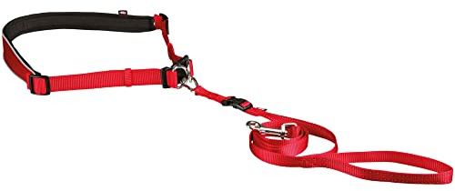 TRIXIE Joggingleine für Hunde mit Bauchgurt M-L, 1,20 m 15 mm in hellblau - perfekte Hundeleine für Sport und Bewegung - für mittelgroße bis große Hunde - 12765