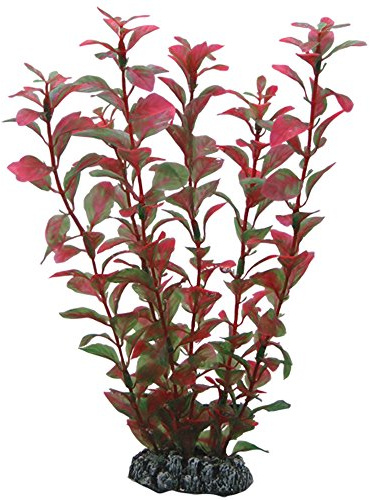 PLANTE LUDWIGIA 25 cm HOBBY----- 41516