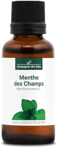 Fältmint (Mentha arvensis) BIO – 30 ml – eterisk olja av premiumkvalitet - 100% ren, naturlig, kemiotypiserad och integrerad