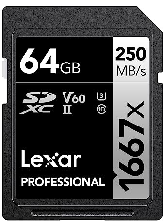 Lexar LSD64GCB1667 SDXC Card, 64 GB SILVER Series, Class 10 U3, V60, Maximum Read 250MB/s Maximum Write: 120MB/s