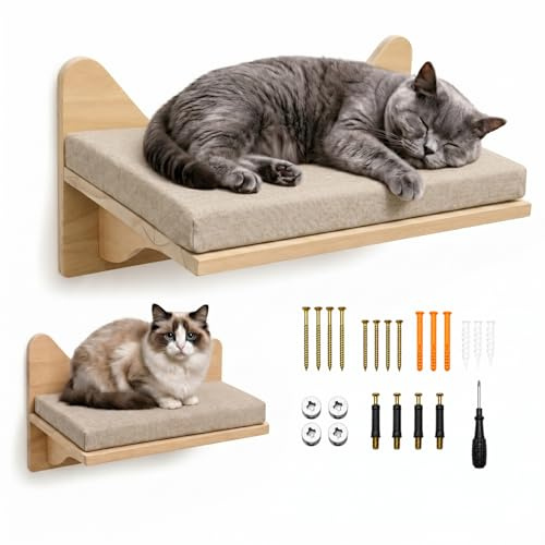 Gatos de Pared de Escalada, Gato montados en la Pared