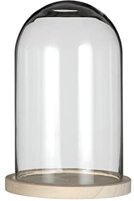 Cloche en verre cloche avec fond - Diamètre : 14 cm - Hauteur : 21 cm - Avec base en bois - Diamètre du verre : 11,5 cm - Hauteur du verre : 20 cm