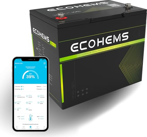 ECOHEMS 12V 100Ah LiFePO4 Batterie mit 100A BMS, 15000+ Zyklen, Bluetooth 5.0 Überwachung, Leicht & Kompakt Lithium Batterie für Wohnmobil, Boot, Solar Speicher & Off-Grid Systeme solarbatterie 12.8V