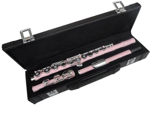Querflöte Instrument Rosa Flöte, 16 Löcher, C-Ton, E-Klappe, Öffnungsloch, Vergoldete Silberklappen, Flöte Mit Koffer Und Zubehör