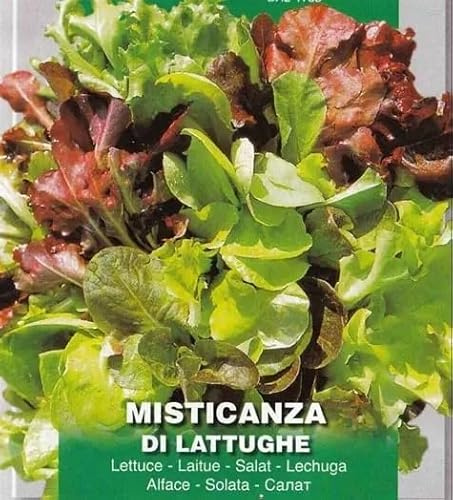 Semi Miscuglio Misticanza di Lattughe, Coltivazione Vaso Balcone, crea il tuo orto biologico 400 Semi