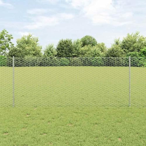 Recinzione per il cortile, recinzione a rete metallica, recinzione per cani, recinzione con palo argento 1 x 25 m in acciaio per pubblico, parco, area ricreativa, privacy