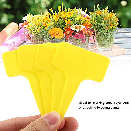 ERYUE 50 Pezzi di Etichette per Piante Impermeabili Riutilizzabili per Uso in Giardino e in Vivaio, Materiale PVC, Ideali Vassoi e Vasi Semi (Giallo)