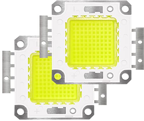 2PCS 100W LED Chip Blanco 6000K COB Bombillas LED para Luz de Inundación LED, luz de Techo, Alta Potencia Lampara Ahorradora de Energia Tesfish