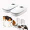 Automatic Cat Feeder, 2 Meal Cat Automatic Feeder with 48 Hours Timer 700ml Ca-t Feed-er Autom-atic for Wet and Dry Food Automat-ic Pet Feede-r for Dogs Ca-t Food Dispenser for Ca-t and Small Dog