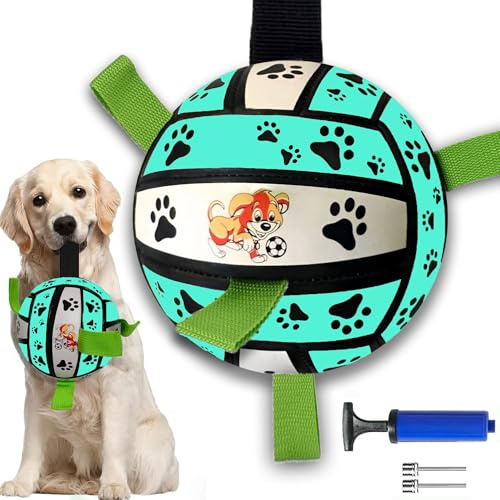 LIBRNTY Giocattolo Palla per Cane, Brillerà Giocattolo Acqua per Cani,Palla per Cani con Corda,Giocattolo interattivo per dog di Piccola e Media Taglia,palla per Dog per esterni,prato
