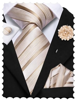 Hi-Tie Champagne Ties for Men Silk Mens Tie Striped Necktie Pocket Square Cufflinks Flower Lapel Pin Set for Business