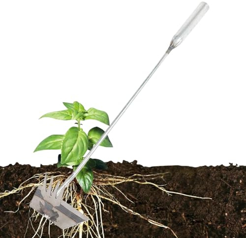 Estirpa,Robusto 4 Denti Manuale - Estirpatore In Acciaio Inossidabile Per - Per Estirpare Cardo Gramigna Ortaggi da Prato Cortile Giardino Giardinieri Adulti