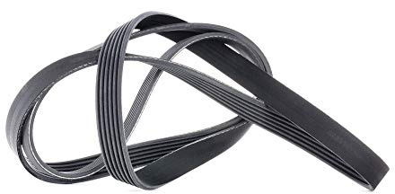 Contitech 6PK1856 Loose Multi-V Belt