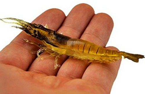 KENGEL 10pcs Shrimp Worm Bait Soft Lure 3.55IN 6g Ultra Realistic Soft Bait Shrimp Lure