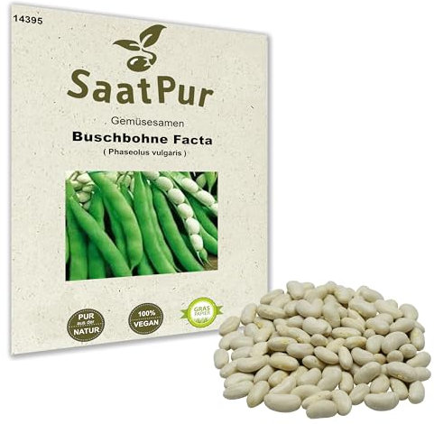 50 g Buschbohne Facta Bohnensamen Bohnensaat Samen Gartenbohne Palbohne Trockenbohne Trockenkochbohne