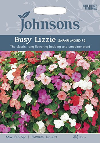 Johnsons BUSY LIZZIE Safari Mixed F2