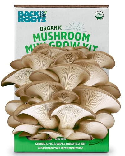 Back to the Roots Organic Mini Mushroom Grow Kit, Harvest Gourmet Oyster Mushrooms In 10 days, Top Gardening Gift, Holiday Gift, & Unique Gift