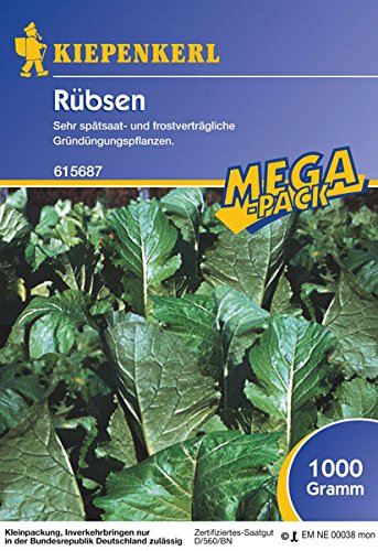 Rübsen - 1 kg Gründünger Mega-Pack