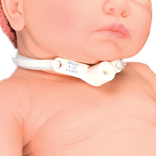 Lot de 12 bandages en mousse - Taille S Posey