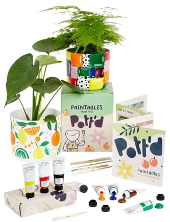 Pott’d Paintables Paint-a-Plant Pot Kit, DIY Pottery Painting Kit for Adults with Plant Pots, Acrylic Paints, Brushes, Pencil and Guide, Craft Kit for Adults, Home Décor