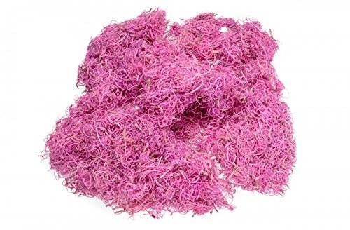 NaDeco Curly Moos in Pink, Gewicht ca. 50g | Curlymoos | Tillandsia Moos | Spanisches Moos | Moos-Deko | Deko-Moos | Bastelmoos | Dekomoos | Bastel-Moos | Moos zum Basteln
