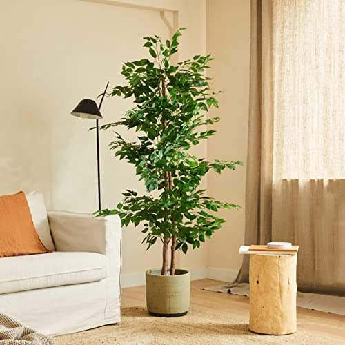 BLAINE | Ficus 150cm | Plantes Artificielles Interieur | Plantes Artificielles | Plante Artificielle Exterieur |Grande Plante Artificielle Interieur | Arbre Artificiel | Fausses Plantes