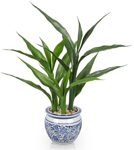 Arborus Artificial Plant Dragon Plant 42 cm Artificial Lucky Bamboo Artificial Plant in Ceramic Pot Artificial Dragon Tree Small Decorative Plants for Table Decoration Shelf Decoration Living Room