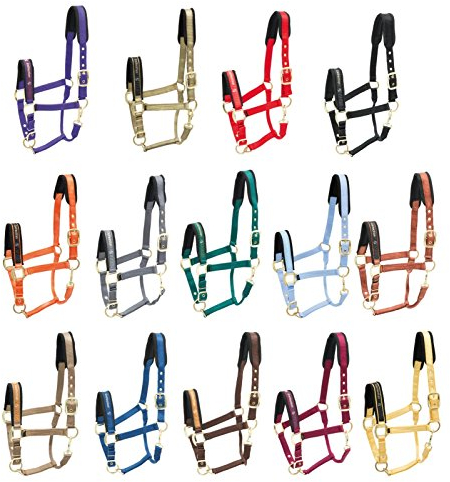 Kieffer Stallhalfter Nylon COLLECTION