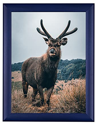 Rahmendesign24 Cadre pour poster Fiona 29,7 x 42 cm (DIN A3) Bleu foncé Cadre photo, cadre interchangeable, cadre photo