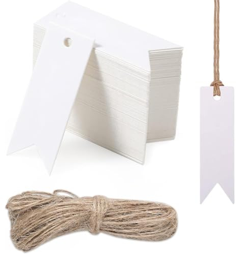 PLABBDPL Etichette Regalo,100 Pezzi Etichette in Carta Kraft,7x2cm Tag Regalo Mini Etichettes con 20 m Spago per Matrimoni,Compleanni e Natale (Bianco)
