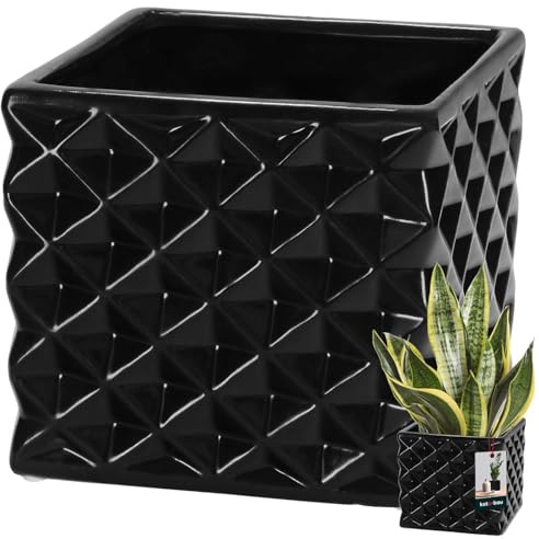 KOTARBAU® Vaso da fiori in ceramica smaltata, quadrato, nero, 14 x 14 cm, altezza 13 cm, per piante da interno, orchidee e piante grasse, vaso per piante, fiori, vaso quadrato