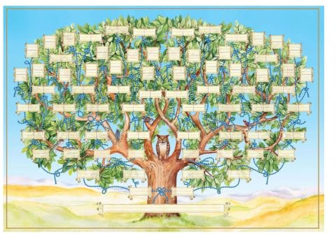 Släktträdsdiagram att fylla i Precious – Family History Chart 23x35in Tree