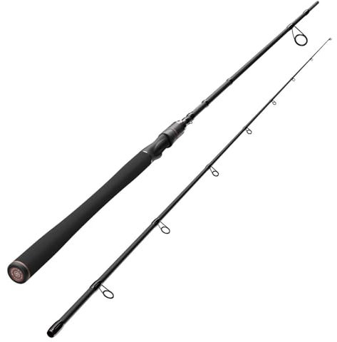 Sportex Kev Nitro RS-2 2,68m 15-55g Spinnrute