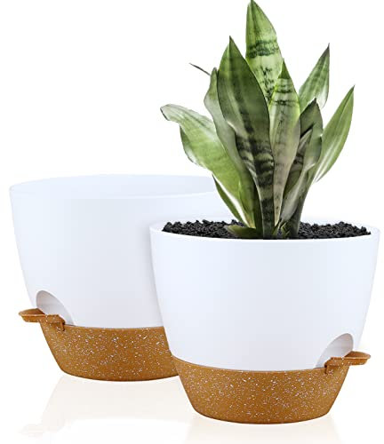 FORAGIFT Macetas de 25 cm con autorriego para interiores, paquete de 2 macetas grandes de plástico con depósito profundo y agujeros de drenaje altos para plantas y flores de interior y exterior, color