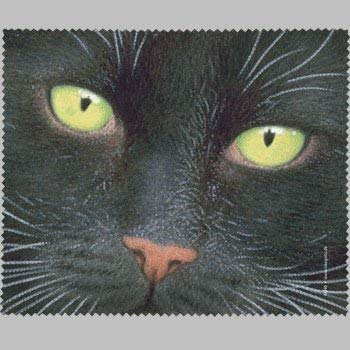 Inkognito Brillenputztuch - Putzige Lappen - Quint Buchholz