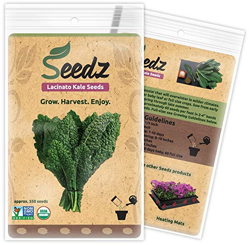 Organic Kale Seeds, APPR. 550, Lacinato Kale, Heirloom Vegetable Seeds, Certified Organic, Non GMO, Non Hybrid, USA