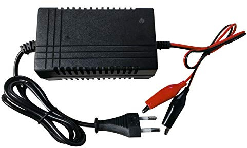 Riloer Cargador de Batería de 6 V 12 A - Cargador de Batería Universal, Mantenedor de Batería Inteligente para Automóvil y Motocicleta