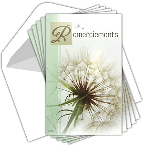 AFIE C5202 - Set di 5 biglietti identici + 5 buste bianche formato 9 x 14 cm, morti ossessionate, funerali, lutto, fiori essiccati, dente di leone, seminare, pochette made in France