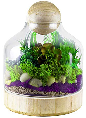 CYS EXCEL Glass Terrarium Container (H:10 W:7) | Multiple Size Choices Planter Jars with Wood Base & Lid | Plant Terrarium Bowl Vase