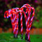Canna di Caramella di Natale, 10 pezzi Luci del percorso del paesaggio Luminosi Interni ed Esterni del bastoncino di zucchero Percorso decorazione per giardino,festa, Natalizie,Cortile,Prato - rosso