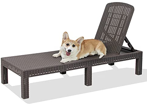 RAPTAVIS Outdoor-Lounge-Sessel, Pool-Ramiere, wasserdicht, Mokka