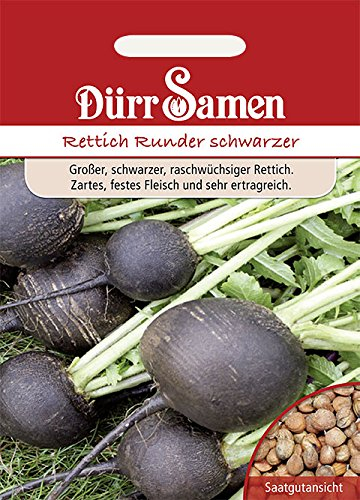 Dürr-Samen - Winterrettich Runder schwarzer Saatgut